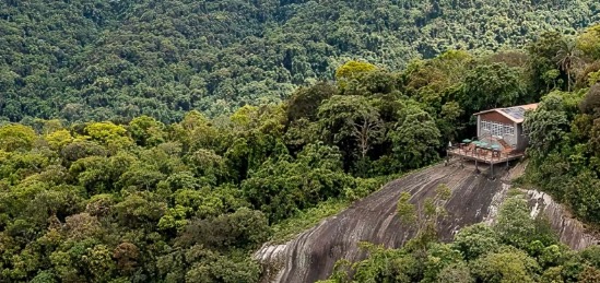 Horto Florestal